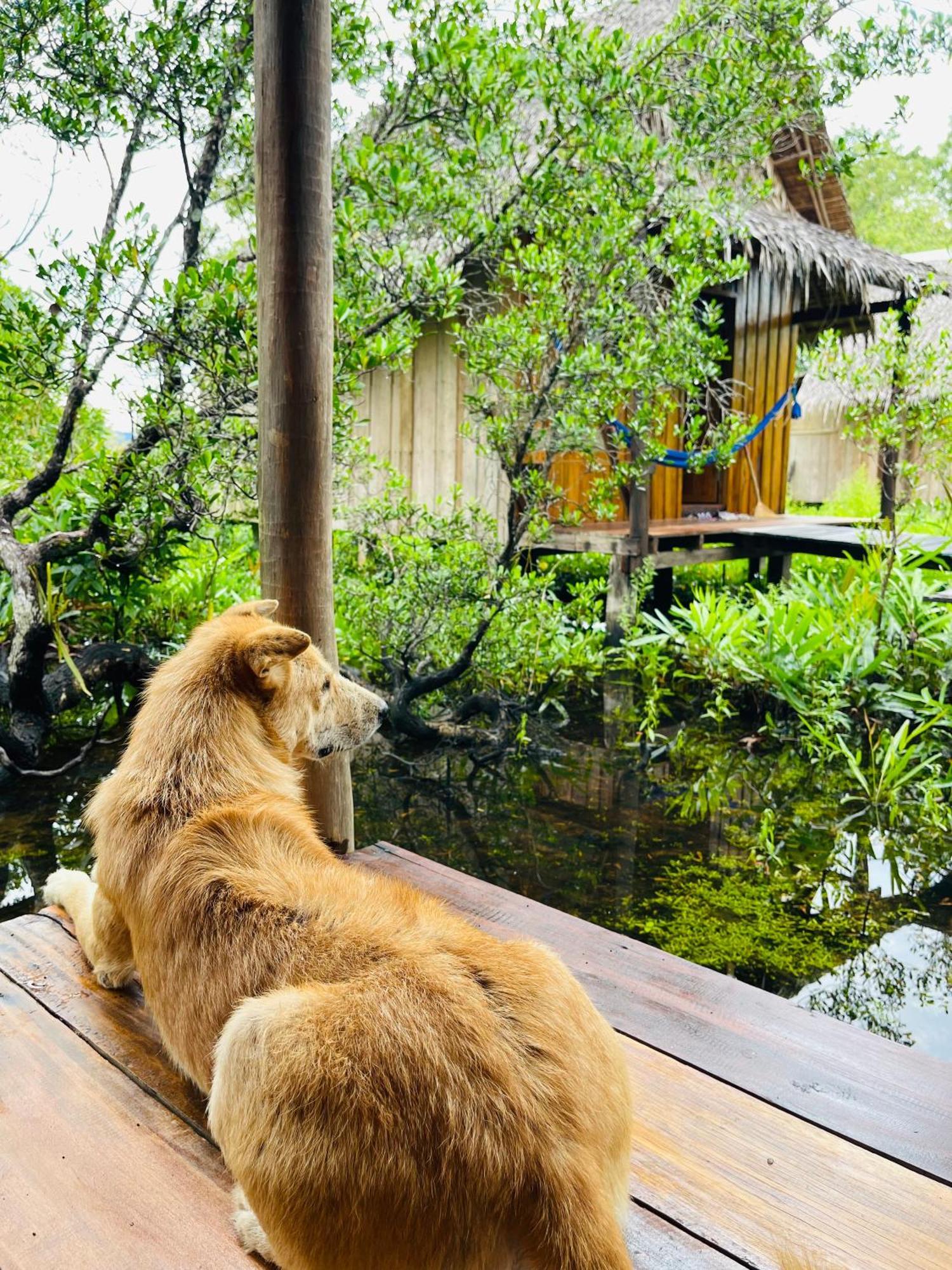 Lily'S Riverhouse Prek Svay Village ภายนอก รูปภาพ